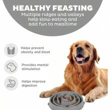 Outward Hound Fun Feeder Slo Bowl, Comedero lento para perros, Grande/Regular, Turquesa