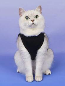 LUCKIE LABO 1pc Trouble Maker Pattern Print Anti-Flea, Reduce Shedding, Insulating & Breathable Vest For Cats & Dogs, Indoor & Outdoor Use - Black - View 5