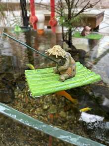 1pc Resin Bamboo Row Floating Hedgehog And Turtle Fishing Figurine, Garden Pond Decoration, Suitable For Courtyard, Garden, Rockery, Swimming Pool, Fish Tank, Water Landscape Decoration. - Multicolor - View 13