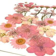 21pcs Purple Tone Natural Dried Flowers, Ideal For Nail Art, Candle Making, Resin Crafts, Diy Projects, Etc. - Purple - View 2