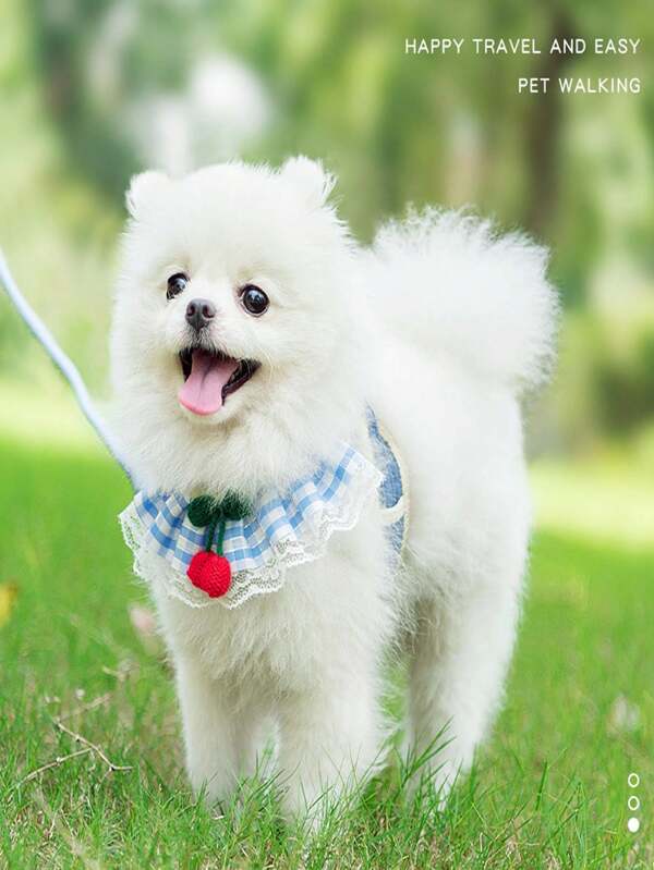 Dog Leash, Cute Harness Leash For Cats, Small Dog Leash, Pet Supplies, Pet Leash Anti-Pulling Vest-Style Dog Harness