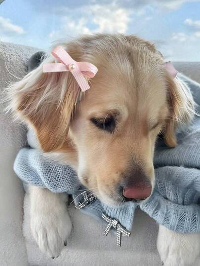 فيونكة جميلة للكلاب، فيونكة شعر للكلاب الصغيرة، اكسسوارات شعر ملونة للكلاب والقطط، هدايا للحيوانات الأليفة، مجموعة مشابك شعر فيونكة، اكسسوارات شعر فيونكة لؤلؤية للقطط، ديكور عيد ميلاد الكلاب