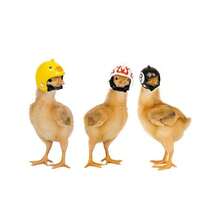 Chicken Head Protection Helmet, Funny Chicken/Bird Hat/Cap For Pets - Multicolor - View 2