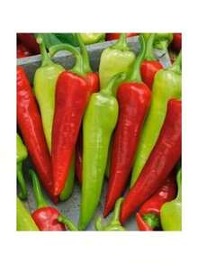 Growing Rapidly Premium Gift Seeds Gift 500pcs 50+Sweet Banana Pepper Seeds (Capsicum Annuum)Heirloom Non-GMO Fresh USA - 預設 - 查看 1
