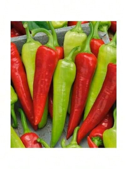 Growing Rapidly Premium Gift Seeds Gift 500pcs 50+Sweet Banana Pepper Seeds (Capsicum Annuum)Heirloom Non-GMO Fresh USA - 預設 - 查看 1