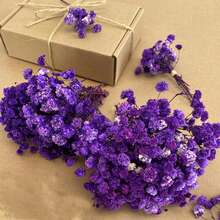 أرجواني (نفس الطفل)