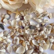1box Unique Ocean Style Mix Mini Conch Shells - Ocean Style Scented Candle Drop Glue Art DIY Materials, Handmade Gifts For Wedding Parties - Multicolor - View 5