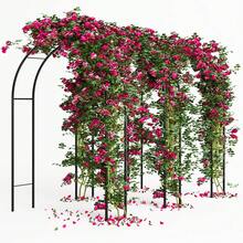 Bakaji Garden Arch Support For Roses And Climbing Plants In Metal 140 X 35 X 240H Dark Green Color - Green - View 3