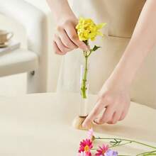 3件北欧创意玻璃水培花瓶工艺品装饰花盆干鲜花装饰玻璃容器试管花瓶家居装饰圣诞节 - 無色 - 查看 10