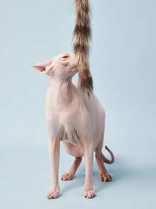 PETSIN 1 件带硅胶手柄的互动猫逗猫棒，可伸缩钓鱼竿式玩具，带真狐狸毛尾巴，条纹图案，无需电池