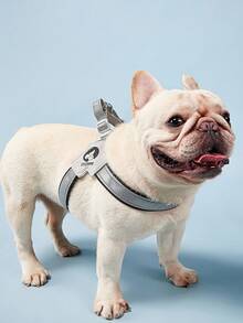 PETSIN 1 件可调节宠物项圈，马鞍式胸背带，反光舒适轻便遛狗胸带，时尚法国斗牛犬牵引带胸带，适合中小型犬外出慢跑 - 黑色 - 查看 8