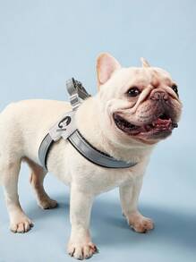 PETSIN 1 件可调节宠物项圈，马鞍式胸背带，反光舒适轻便遛狗胸带，时尚法国斗牛犬牵引带胸带，适合中小型犬外出慢跑 - 黑色 - 查看 2