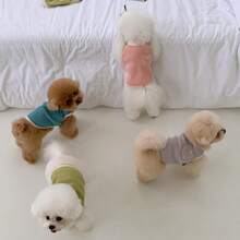 Solid Color Dog Vest With Pocket, Cute Candy-Colored Pet Vest Suitable For Toy Dogs To Small Dogs, Summer - Purple - View 5