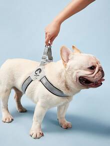 PETSIN 1 件可调节宠物项圈，马鞍式胸背带，反光舒适轻便遛狗胸带，时尚法国斗牛犬牵引带胸带，适合中小型犬外出慢跑 - 黑色 - 查看 6