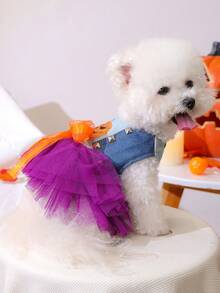1 件宠物服装，狗/猫服装，快乐小狗小型犬休闲时尚可爱舒适异想天开南瓜裙 - 彩色 - 查看 4