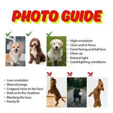 Customized Stainless Steel Pet Bowl With Non-Slip Bottom, Suitable For Small, Medium And Large Dogs, Customized Pet Name, Cat And Dog Food And Water Bowl Ornamental Stylish, Colorful, Cute, Contracted, Cuties Unique, Customized Home Goods Ideal Gifts For Her Her, Family, Friends, Pet Lovers, Pet For Anniversaries, For Birthdays, For Housewarming Ornamental,Pet Supplies,2025 Halloween Accessories,Personalized With Pet's Name