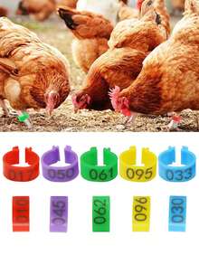 100pcs Inner Diameter 1.6cm Chicken Foot Ring With Numbers 001-100 Label Clasp Plastic Poultry Leg Rings Bands Chickens Ducks Animals Gees Identification Tool - Multicolor - View 7