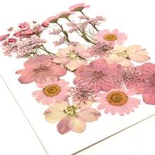 21pcs Purple Tone Natural Dried Flowers, Ideal For Nail Art, Candle Making, Resin Crafts, Diy Projects, Etc. - Purple - View 3