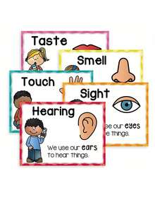 A4 English Five Senses Cognitive Learning Poster, Educational Cards, Children's Teaching Aids