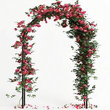 Bakaji Garden Arch Support For Roses And Climbing Plants In Metal 140 X 35 X 240H Dark Green Color - Green - View 4