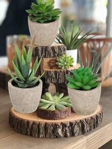 3 件人造多肉植物带花盆，人造植物，桌面装饰，绿色装饰，工厂定制，多年生装饰，四季装饰，学校宿舍办公室装饰，户外派对活动节日生日派对装饰，家居酒店餐厅客厅卧室婚宴厨房花园装饰，春夏装饰 - 綠色 - 查看 10
