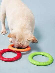 PETSIN 狗狗訓練玩具戶外運動飛盤互動寵物玩具,適合狗狗 - 彩色 - 查看 7