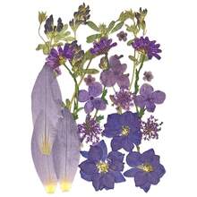 21pcs Purple Tone Natural Dried Flowers, Ideal For Nail Art, Candle Making, Resin Crafts, Diy Projects, Etc. - Purple - View 9