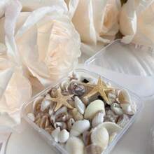 1box Unique Ocean Style Mix Mini Conch Shells - Ocean Style Scented Candle Drop Glue Art DIY Materials, Handmade Gifts For Wedding Parties - Multicolor - View 4