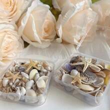 1box Unique Ocean Style Mix Mini Conch Shells - Ocean Style Scented Candle Drop Glue Art DIY Materials, Handmade Gifts For Wedding Parties - Multicolor - View 6