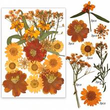 21pcs Purple Tone Natural Dried Flowers, Ideal For Nail Art, Candle Making, Resin Crafts, Diy Projects, Etc. - Purple - View 8