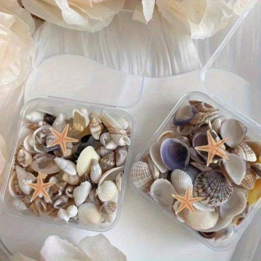 1box Unique Ocean Style Mix Mini Conch Shells - Ocean Style Scented Candle Drop Glue Art DIY Materials, Handmade Gifts For Wedding Parties - Multicolor - View 1