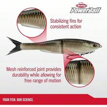 Cebo suave de pesca Berkley PowerBait Nessie - Sábalo - Ver 7