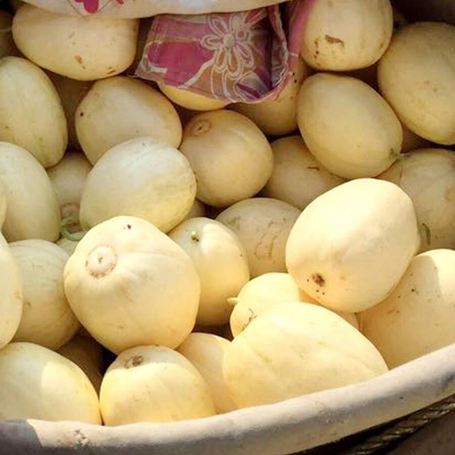 Semillas de Frutas y Verduras Jardín Fragante Semillas Blancas de Cáscara Dulce Semillas de Melón de Cáscara Fina Semillas de Melón Blanco - 100 semillas - Ver 1