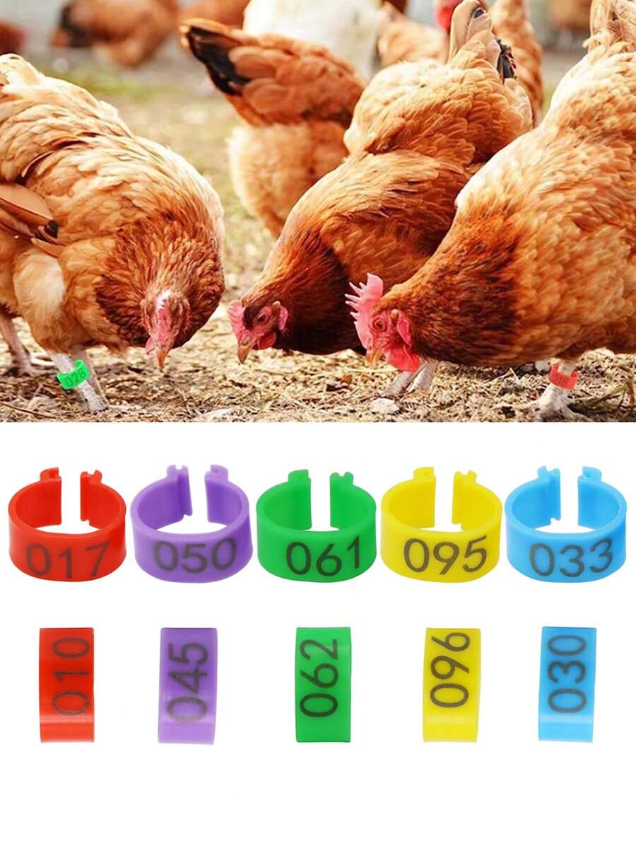 100pcs Inner Diameter 1.6cm Chicken Foot Ring With Numbers 001-100 Label Clasp Plastic Poultry Leg Rings Bands Chickens Ducks Animals Gees Identification Tool - Multicolor - View 1