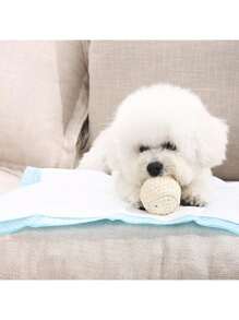 100pcs Super Large Dog Urine Pad, Large Training Dog Use Urine Pad, Super Absorbent, Non-Leaking, Odor-Proof, Easy To Clean, Disposable Pet Urine Pad, Suitable For Puppies, Small Dogs, Indoor Training, Pet Training