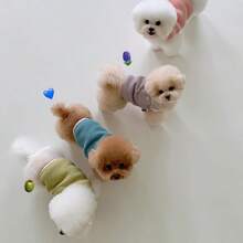 Solid Color Dog Vest With Pocket, Cute Candy-Colored Pet Vest Suitable For Toy Dogs To Small Dogs, Summer - Purple - View 4
