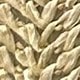 Màu Khaki