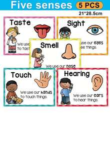 A4 English Five Senses Cognitive Learning Poster, Educational Cards, Children's Teaching Aids