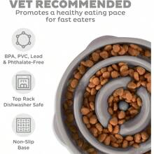 Outward Hound Fun Feeder Slo Bowl, Comedero lento para perros, Grande/Regular, Turquesa