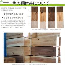 Bonsai - 1. Marrón oscuro - Ver 8