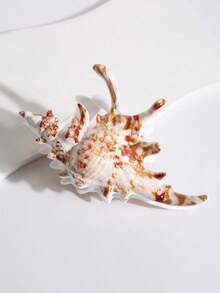 1个女士海湾海岸发夹，时尚沙滩海洋贝壳爪形粗发夹，时尚大号发爪饰品礼品时尚发饰美发夹秋冬度假装扮女士夏季 - 彩色 - 查看 19