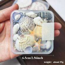 1box Unique Ocean Style Mix Mini Conch Shells - Ocean Style Scented Candle Drop Glue Art DIY Materials, Handmade Gifts For Wedding Parties - Multicolor - View 8