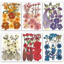 21pcs Purple Tone Natural Dried Flowers, Ideal For Nail Art, Candle Making, Resin Crafts, Diy Projects, Etc. - Purple - View 6