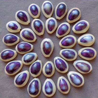 6pcs Blue Eye Cowrie Shells - DIY Mini Handmade Jewelry Shell Painting, Sparkling Ocean Home Decoration, Ocean Wedding Shell Decoration