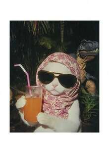 Camiseta oversize con lindo estampado vintage de gato y meteoro, camiseta divertida y tonta de estilo unisex, ropa casual de estilo callejero estadounidense, parte superior de manga corta y cuello redondo sencilla para vacaciones en la playa y país tropical, ideal para cumpleaños de chicas - Blanco - Ver 2