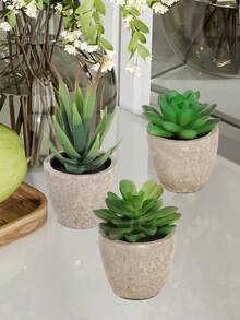 3 件人造多肉植物带花盆，人造植物，桌面装饰，绿色装饰，工厂定制，多年生装饰，四季装饰，学校宿舍办公室装饰，户外派对活动节日生日派对装饰，家居酒店餐厅客厅卧室婚宴厨房花园装饰，春夏装饰 - 綠色 - 查看 11