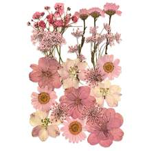 21pcs Purple Tone Natural Dried Flowers, Ideal For Nail Art, Candle Making, Resin Crafts, Diy Projects, Etc. - Purple - View 1