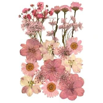 21pcs Pink Shade Natural Dried Flowers, Suitable For Nail Art, Candle Making, Resin Crafts, Handmade Diy, Etc.
