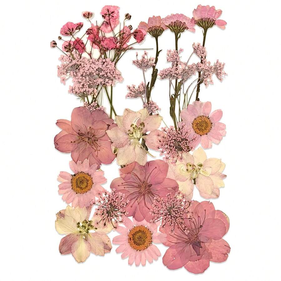 21pcs Purple Tone Natural Dried Flowers, Ideal For Nail Art, Candle Making, Resin Crafts, Diy Projects, Etc. - Purple - View 1