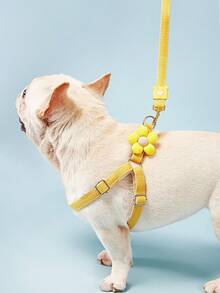 PETSIN 小中型犬用胸背帶牽繩，泰迪、貴賓犬專用，透氣舒適，適合遛狗 - 彩色 - 查看 6